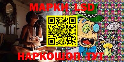 прущие грибы Камышлов