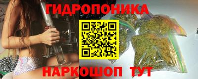 дмт Канаш
