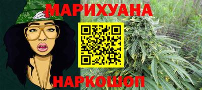 прущие грибы Камышлов