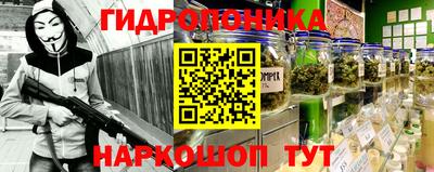 прущие грибы Камышлов