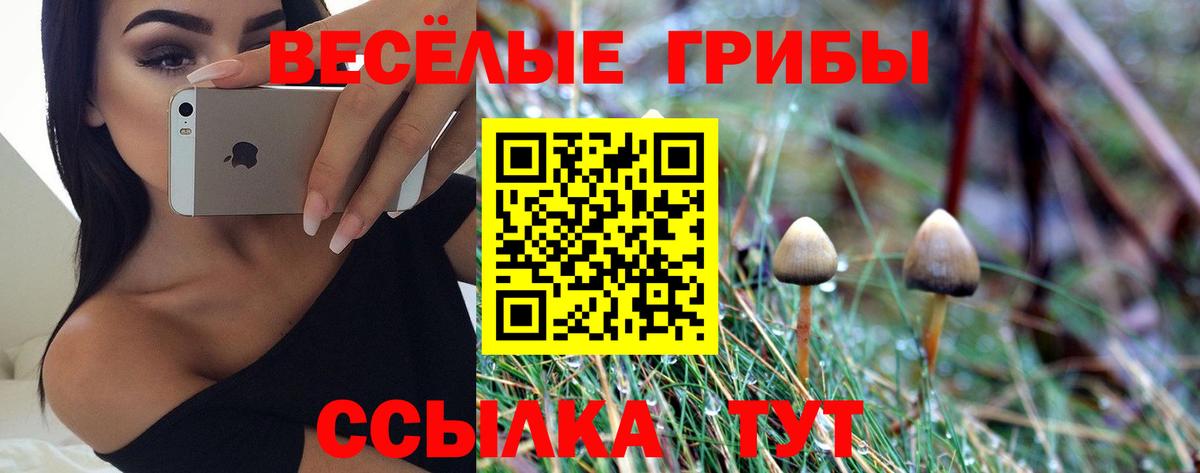 Лесозаводск  Псилоцибиновые грибы Psilocybe  Вход с VPN 